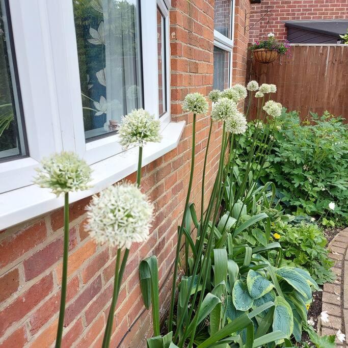 Cheerful, Cosy, One Bedroom Home With Patio And Parking Newbury  Luaran gambar